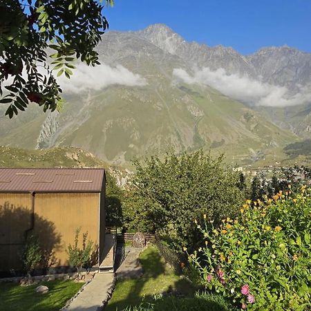 My Space Kazbegi 아파트 외부 사진