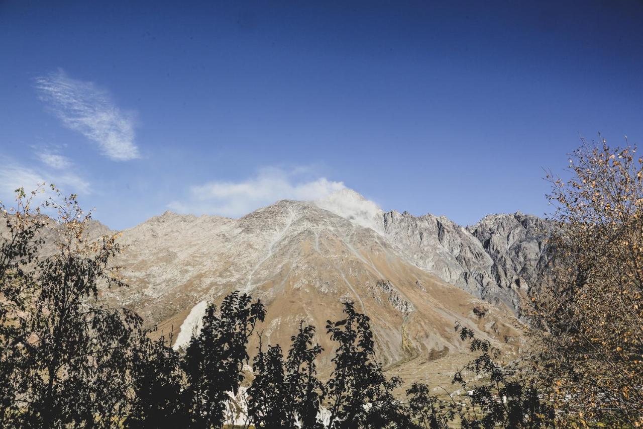 My Space Kazbegi 아파트 외부 사진