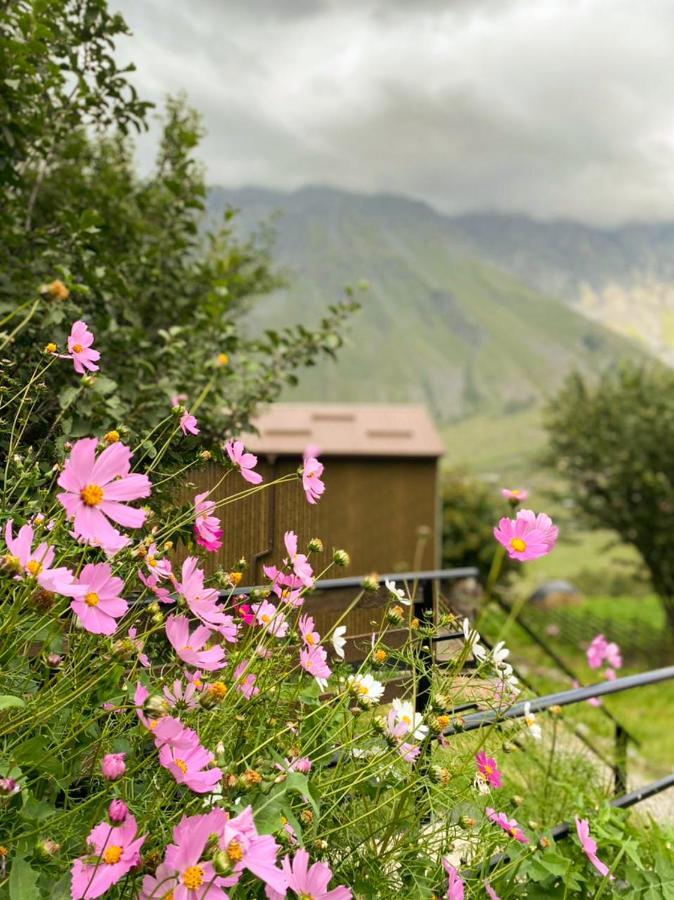 My Space Kazbegi 아파트 외부 사진